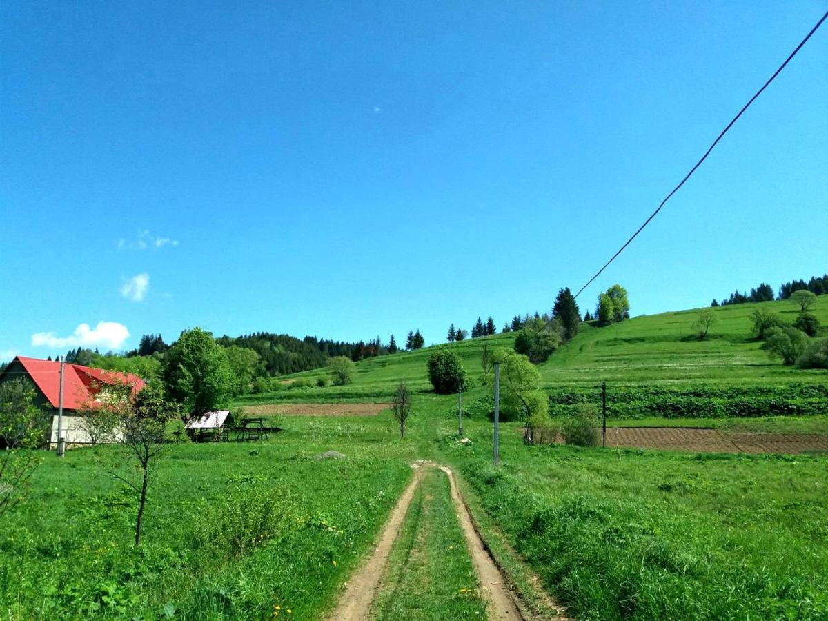 Gostynna Rodyna Hotel Izki Buitenkant foto