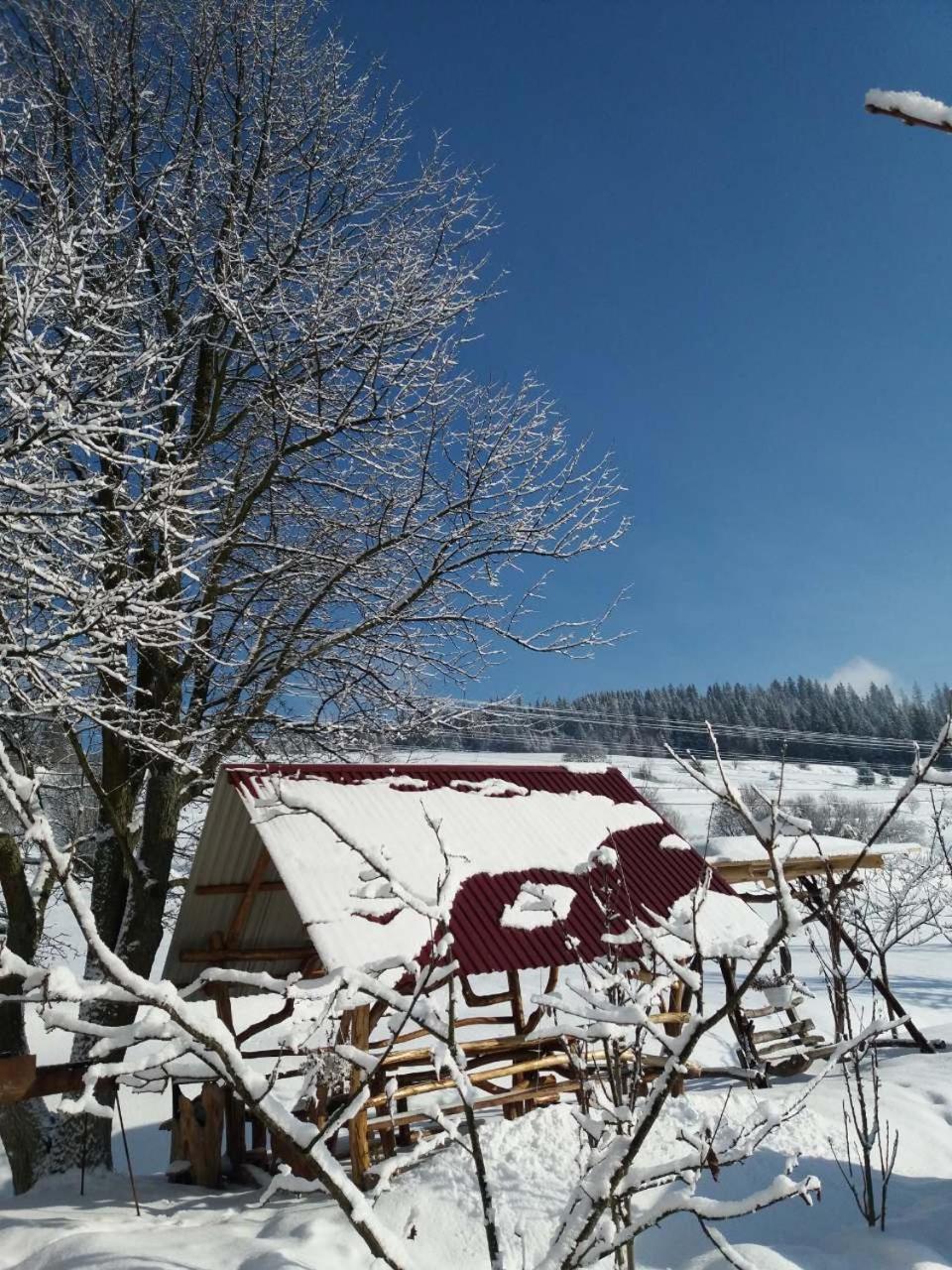 Gostynna Rodyna Hotel Izki Buitenkant foto
