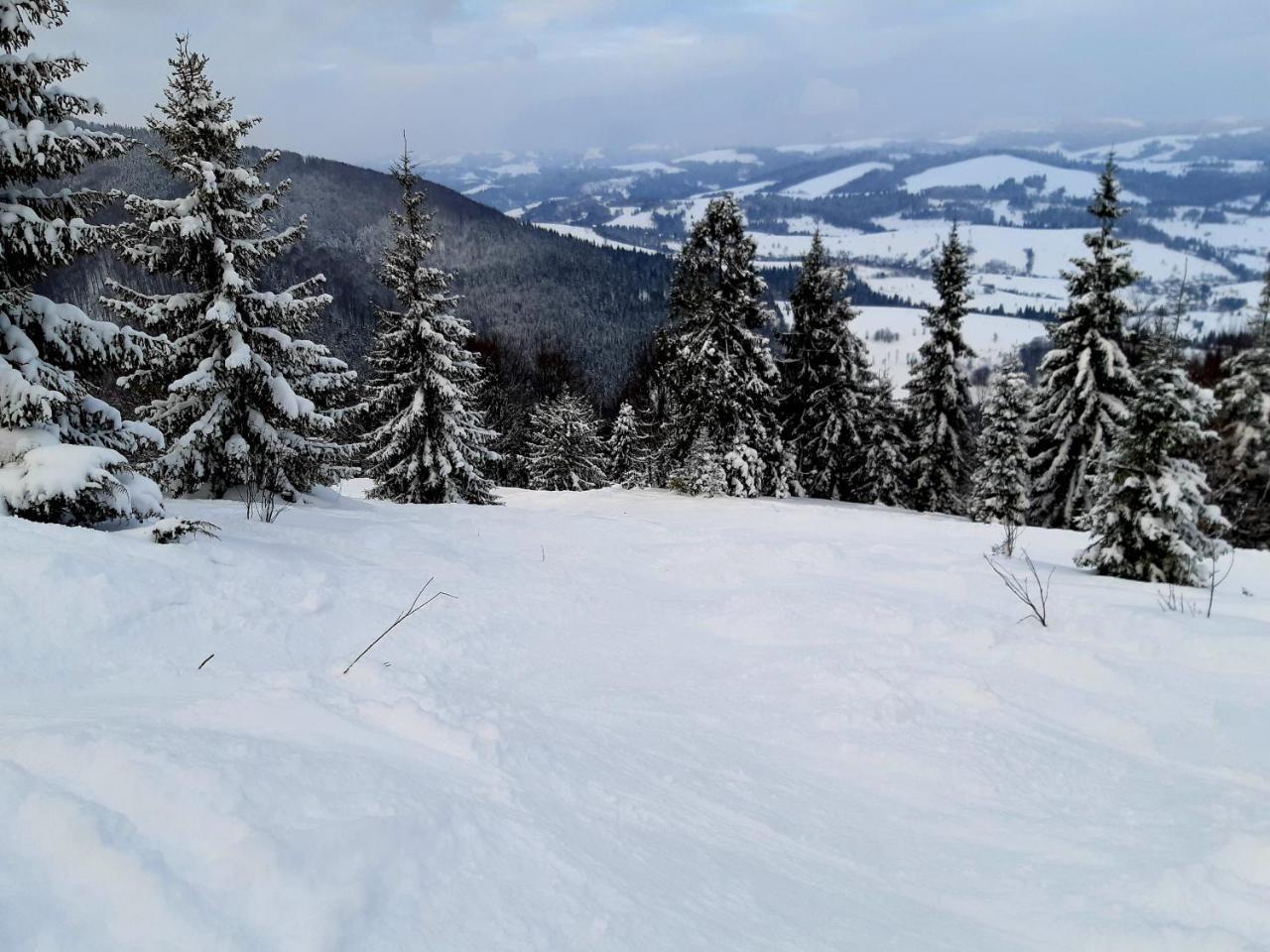 Gostynna Rodyna Hotel Izki Buitenkant foto