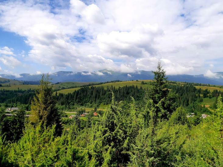 Gostynna Rodyna Hotel Izki Buitenkant foto