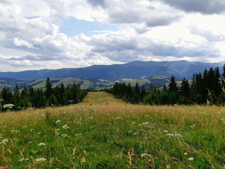 Gostynna Rodyna Hotel Izki Buitenkant foto
